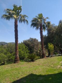 Green Hill House - 1