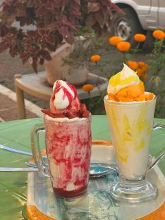 Sara green Valley Farm - Mahabaleshwar - 2