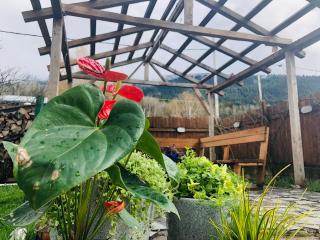 Guest House Vanda - 2