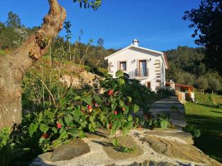 A Casa dos Avós - Alojamento Local - Sertã - 0