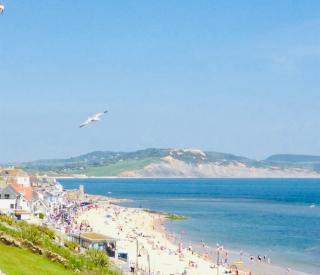 Sea Cliff View Designer Home - Lyme Regis - 9