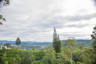 Hillcrest Haputale - 1