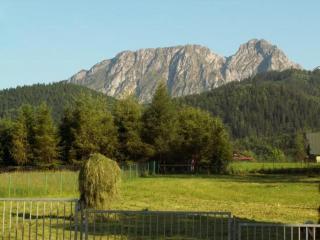 Apartamenty pod Tatrami & SPA - Zakopane - 5