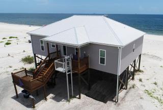 Purple Pelican - Dauphin Island - 0