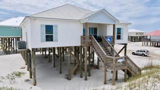Shore Joy - Dauphin Island - 0