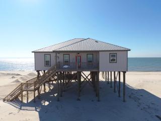 Salty Piece of Land - Dauphin Island - 0