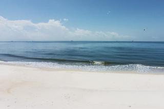 Ocean Melody - Dauphin Island - 0