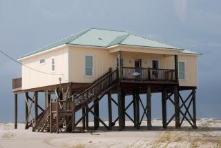 Morning Joy - Dauphin Island - 0