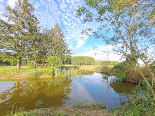 Le Bonheur est dans le Pré. - Saint-Romain-sur-Cher - 5