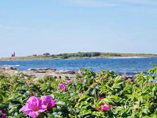 Holiday home Halmstad VII - Halmstad - 3