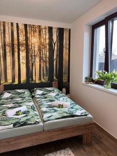 Apartmán Rozárie - Třeboň - 1