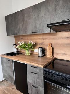 Apartmán Rozárie - Třeboň - 2