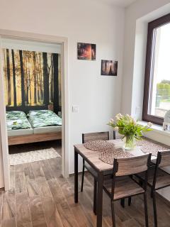 Apartmán Rozárie - Třeboň - 5