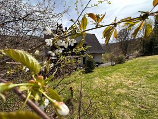 Unter dem Ginster - Forest Villa for 12 - 1500m2 Private Garden - Near Willingen Ski Area - Hiking & Nature - 1