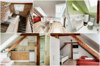 Apartmán Kamarytka - České Budějovice - 8