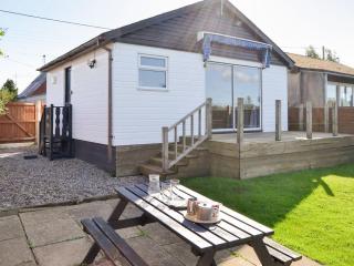 Pintail - Brundall - 8