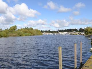 Pintail - Brundall - 4