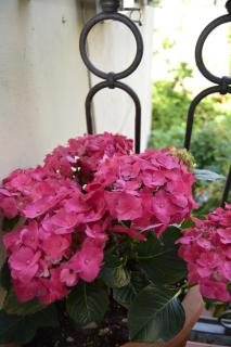 Chez Moi B&B - Florence - 1