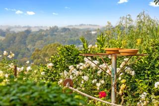 Lush rural retreat - Korumburra - 7