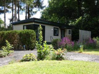 Chalet nr 17 op Bospark Trimunt - Marum - 0