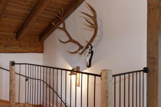 Ferienhaus Hirschkopf - Mauth - 1