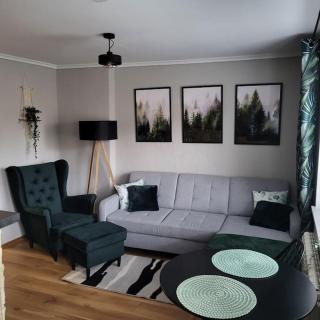 Apartament Kościuszki - Sanok - 4
