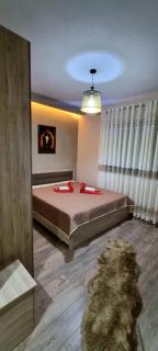 Delight Apartments Pogradec 303 - 4