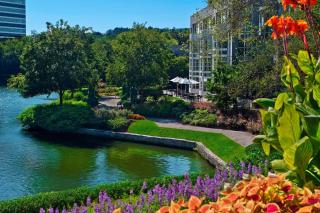 The Westin Atlanta Perimeter North - Atlanta - 6