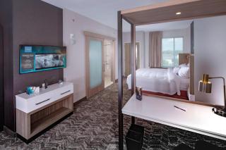 Springhill Suites By Marriott Newark Downtown - 4