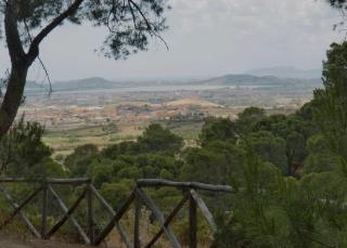 Fior di sole - 7