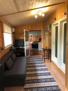 Casa de vacanta 483A, Lacul Surduc - Fîrdea - 6