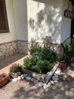 La Lestra - 5