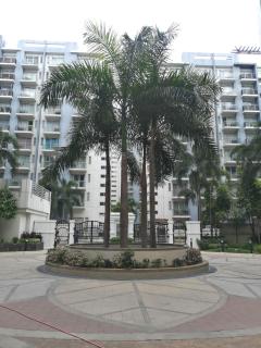 NAIA Condo Palm Tree 2 - Manila - 5