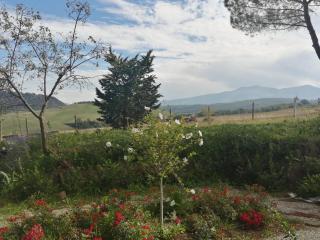 Podere Stabbiatelli - 5