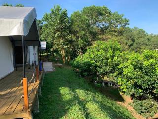 Canopy Villa Sireh Park - 4