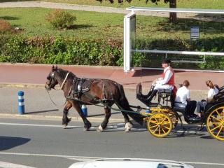 Les Embruns - Les plages - appartement 3eme étage - 8