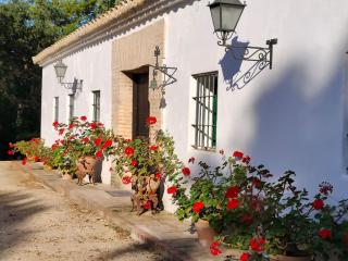 Casa de campo - Cortijo El Palomar - 2