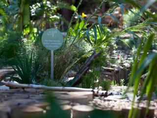 Retreat at Waterfall Valley - Paarl - 2