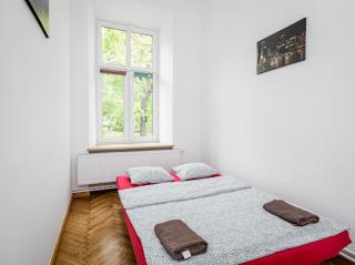 Wąsik - Cracovia - 9