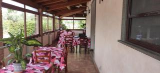 La Piana di Alsium - Ladispoli - 1