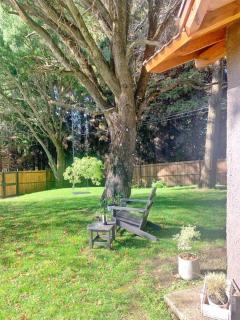 Casa La Quinta - Tiny House - Bariloche - 3