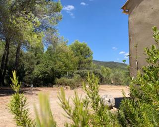 Sous les Chênes - Peypin-dʼAigues - 1