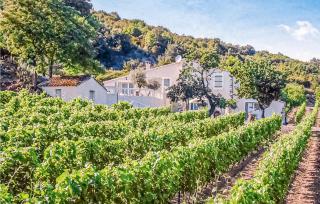 Cozy Home In Cabrerolles - Cabrerolles - 1