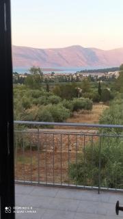 VILLA IN THE OLIVE TREES - Galaxidhion - 9