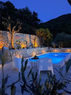 Holiday House - Old Olive - Porozina - 8