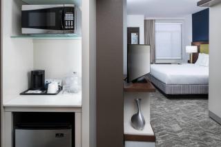 SpringHill Suites Alexandria Southwest - 3