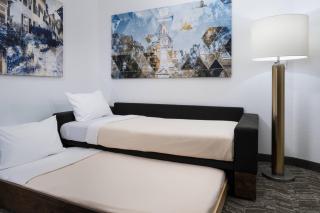 SpringHill Suites Alexandria Southwest - 2