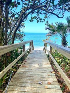 Miles of Private Beach-4BR Beach Access Cottage with SUPs Kyaks-Pets Ok - Englewood - 6