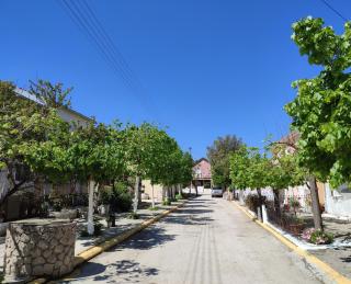 Orfea's House-Cozy house in a green village - 7