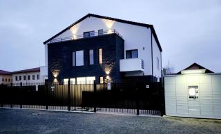 Armina's Residence Villa - Dumbrăviţa - 3